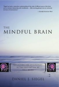Baixar The Mindful Brain: Reflection and Attunement in the Cultivation of Well-Being (Norton Series on Interpersonal Neurobiology) pdf, epub, eBook