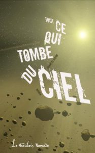 Baixar Tout ce qui tombe du ciel (French Edition) pdf, epub, eBook