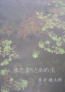 Baixar A puddle and a candy (Japanese Edition) pdf, epub, eBook