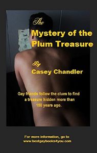 Baixar The Mystery of the Plum Treasure: A gay mystery and adventure. (English Edition) pdf, epub, eBook