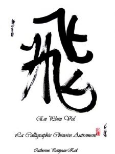 Baixar EN PLEIN VOL – La Calligraphie Chinoise Autrement (French Edition) pdf, epub, eBook
