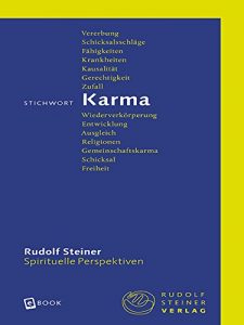 Baixar Stichwort Karma pdf, epub, eBook