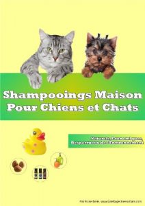 Baixar Shampooings Maison pour Chiens et Chats (French Edition) pdf, epub, eBook