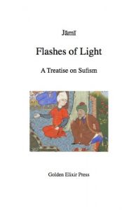 Baixar Flashes of Light: A Treatise on Sufism (English Edition) pdf, epub, eBook