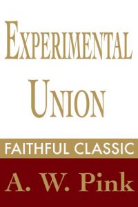 Baixar Experimental Union (Arthur Pink Collection Book 19) (English Edition) pdf, epub, eBook