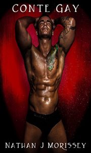 Baixar Conte Gay (French Edition) pdf, epub, eBook