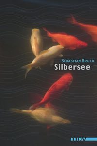 Baixar Silbersee: Roman (German Edition) pdf, epub, eBook