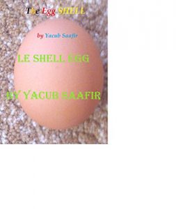 Baixar Le SHELL Egg: Le shell…Le SHELL (French Edition) pdf, epub, eBook