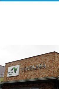 Baixar SA PA (Japanese Edition) pdf, epub, eBook