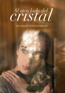 Baixar Al otro lado del cristal (Spanish Edition) pdf, epub, eBook