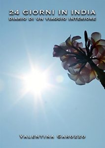Baixar 24 GIORNI IN INDIA. Diario di un viaggio interiore pdf, epub, eBook