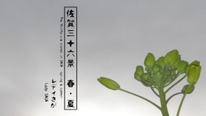 Baixar The thirty-six scenes in SAGA -Spring and Summer- (Japanese Edition) pdf, epub, eBook