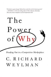 Baixar The Power of Why: Breaking Out In a Competitive Marketplace pdf, epub, eBook