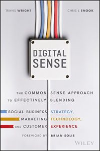 Baixar Digital Sense: The Common Sense Approach to Effectively Blending Social Business Strategy, Marketing Technology, and Customer Experience pdf, epub, eBook