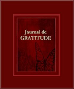 Baixar Journal de Gratitude: Transformez votre vie. (French Edition) pdf, epub, eBook