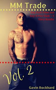 Baixar MM Trade, Vol. 2: Gay First-Time and Gay-4-Pay Studs – 5 Story Bundle (English Edition) pdf, epub, eBook