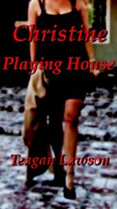 Baixar Playing House (Christine Book 1) (English Edition) pdf, epub, eBook