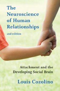 Baixar The Neuroscience of Human Relationships: Attachment and the Developing Social Brain (Second Edition) (Norton Series on Interpersonal Neurobiology) pdf, epub, eBook