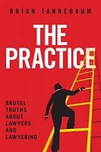 Baixar The Practice: Brutal Truths About Lawyers and Lawyering pdf, epub, eBook