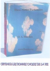 Baixar Dieu, Notre Partenaire, Illustrated (French Edition) pdf, epub, eBook