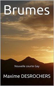 Baixar Brumes: Nouvelle courte Gay (French Edition) pdf, epub, eBook
