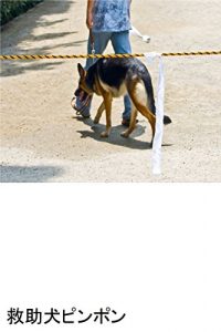 Baixar kyuujyokenpinpon (Japanese Edition) pdf, epub, eBook