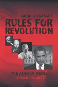 Baixar Barack Obama’s Rules for Revolution: The Alinsky Model (English Edition) pdf, epub, eBook