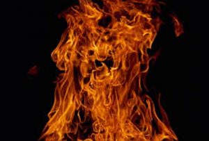 Baixar shizentomonowourugizyutu: eikyouryokunobukiwotenisurunoda (se-rusuzikokeihatu) (Japanese Edition) pdf, epub, eBook