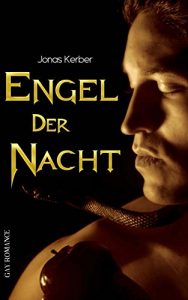 Baixar Engel der Nacht (Gay Romance) (German Edition) pdf, epub, eBook