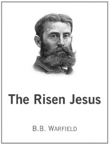 Baixar The Risen Jesus (English Edition) pdf, epub, eBook