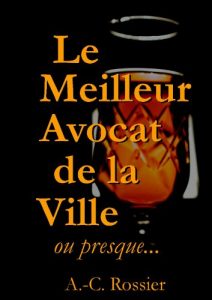 Baixar Le meilleur avocat de la ville, ou presque… (French Edition) pdf, epub, eBook
