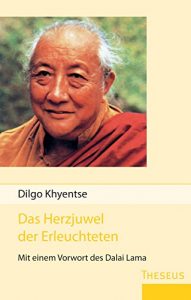 Baixar Das Herzjuwel der Erleuchteten (German Edition) pdf, epub, eBook