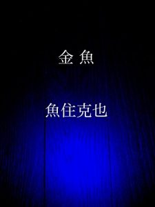 Baixar kingyo (Japanese Edition) pdf, epub, eBook