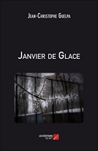 Baixar Janvier de Glace (French Edition) pdf, epub, eBook