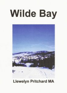 Baixar Wilde Bay (Port Hope Simpson Mysterien 6) (German Edition) pdf, epub, eBook