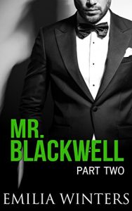 Baixar Mr. Blackwell: Part Two (A Billionaire Romance) (English Edition) pdf, epub, eBook