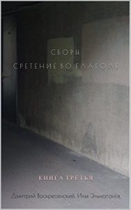 Baixar СБОРЫ: СРЕТЕНИЕ ВО ГЛАГОЛЕ: КНИГА ТРЕТЬЯ (English Edition) pdf, epub, eBook