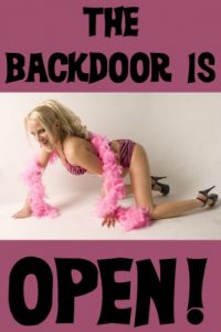 Baixar The Backdoor Is Open: Five Anal Sex Erotica Shorts: Five Anal Sex Erotica Shorts (English Edition) pdf, epub, eBook