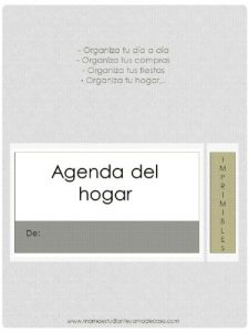 Baixar Agenda-Organizador (Spanish Edition) pdf, epub, eBook