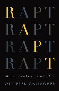 Baixar Rapt: Attention and the Focused Life pdf, epub, eBook