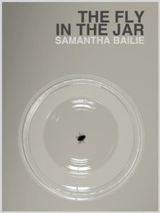 Baixar The Fly in the Jar (English Edition) pdf, epub, eBook