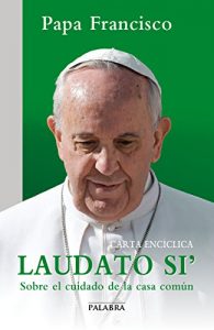 Baixar Laudato si’ (Documentos MC) pdf, epub, eBook