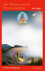 Baixar The Tibetan Art of Dream Analysis: A journey through space and time (English Edition) pdf, epub, eBook