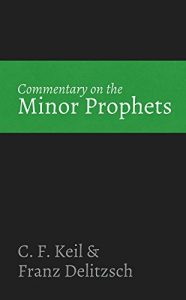 Baixar Commentary on the Minor Prophets (English Edition) pdf, epub, eBook