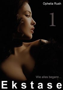 Baixar Ekstase 1: Wie alles begann… (German Edition) pdf, epub, eBook