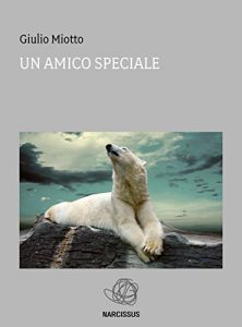Baixar Il mio amico Aran pdf, epub, eBook