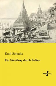Baixar Ein Streifzug durch Indien (German Edition) pdf, epub, eBook