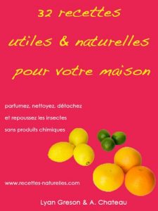Baixar 32 recettes utiles et naturelles pour votre maison (French Edition) pdf, epub, eBook