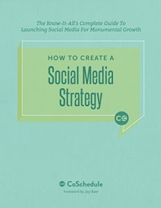 Baixar How To Create A Social Media Strategy: The Know-It-All’s Complete Guide To Launching Social Media For Monumental Growth (English Edition) pdf, epub, eBook