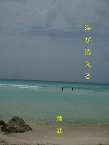 Baixar umigakieru: black out of the sea (Japanese Edition) pdf, epub, eBook